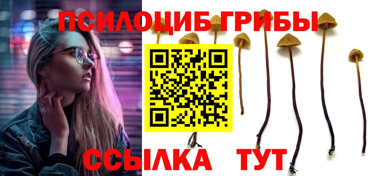 Галлюциногенные грибы Cubensis Мариинск